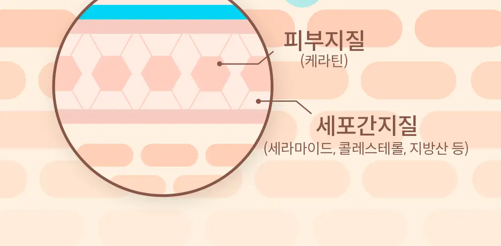 [하리무PICK] NDP 엔디피 초저분자 히알루로닉 10,000PPM 세럼 상세페이지 27